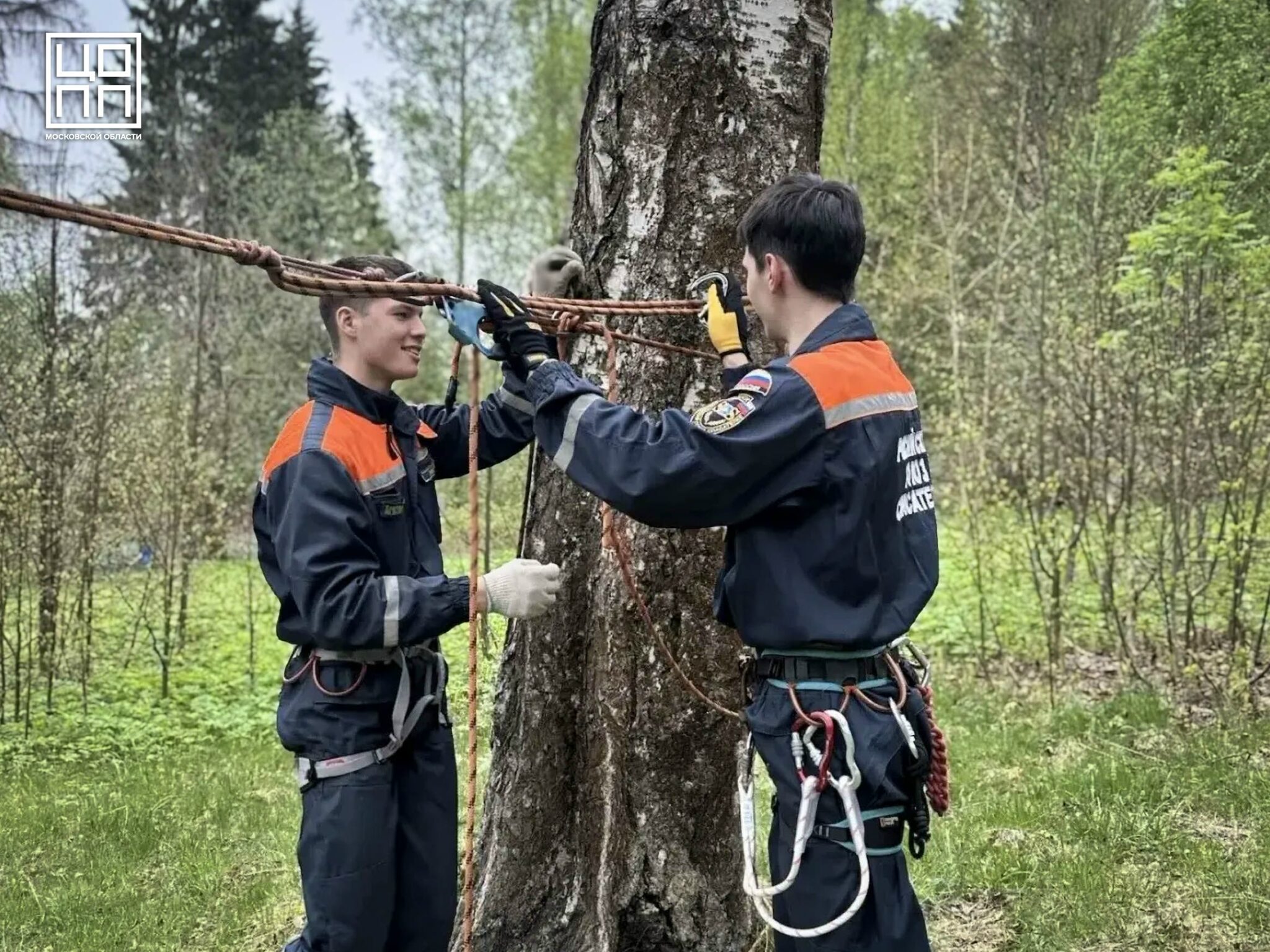 Как колледжи Подмосковья готовятся к международному событию «Маршрут выживания»?